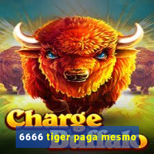 6666 tiger paga mesmo